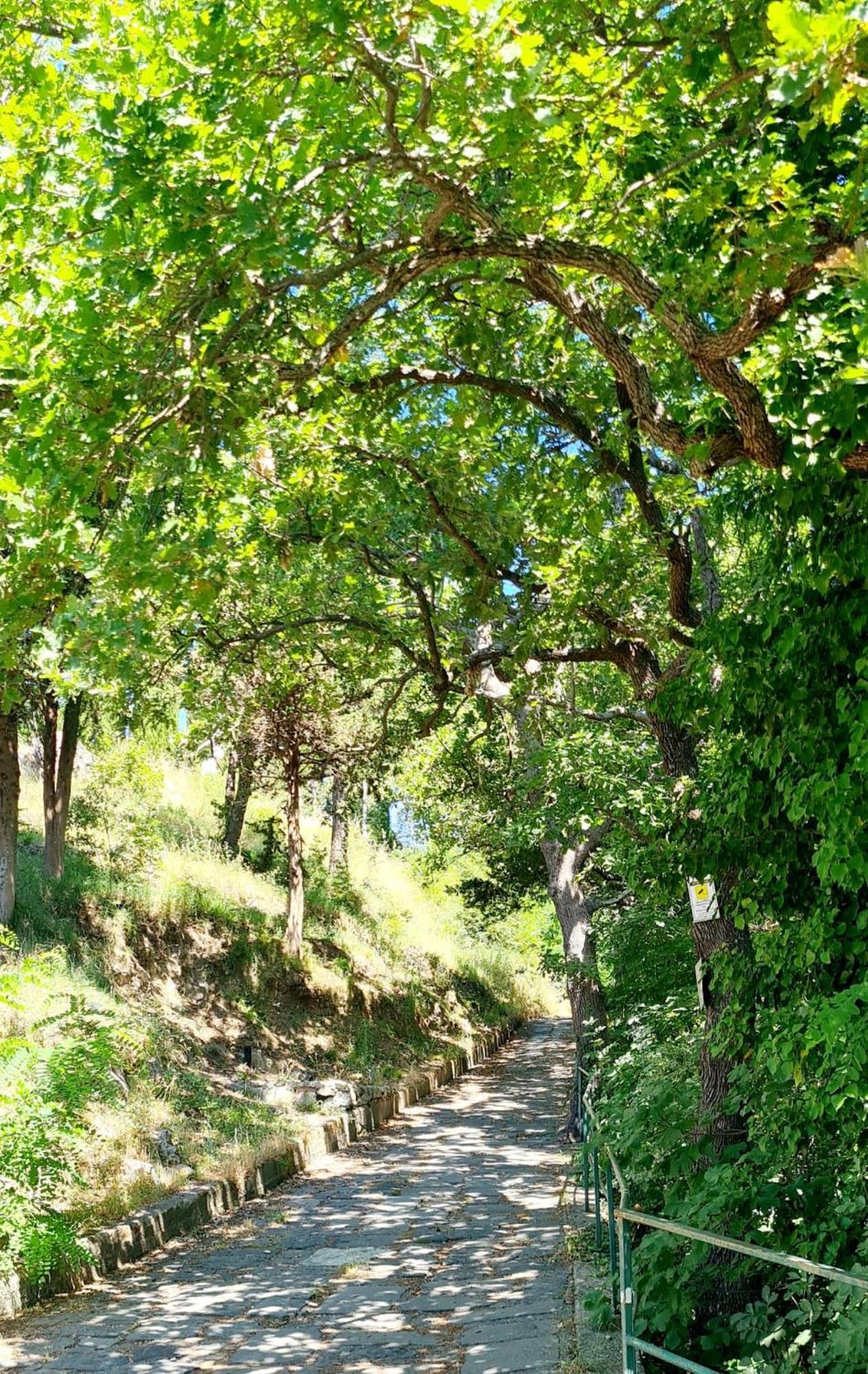 Villa Blu Costiera Amalfi Exterior foto